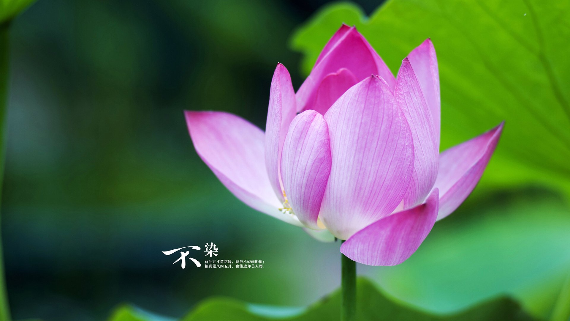 开云kaiyun-掘金球员开发社交APP“LockerTalk”，主打更衣室真实语音，掘金球员介绍