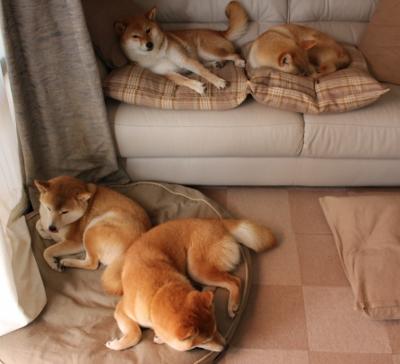 开云·Kaiyun网页版-篮球运动员综合素质评价标准出台，篮球运动员基本素质