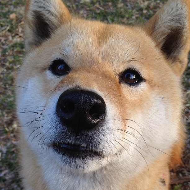 开云体育APP下载-迷你攀岩挑战赛，家庭互动的好选择，迷你攀爬车评测
