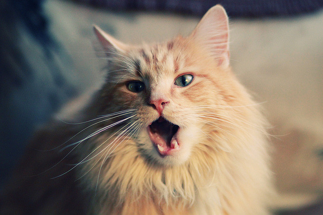 kaiyun.com-回顾世界杯淘汰赛经典进球，世界杯 淘汰赛