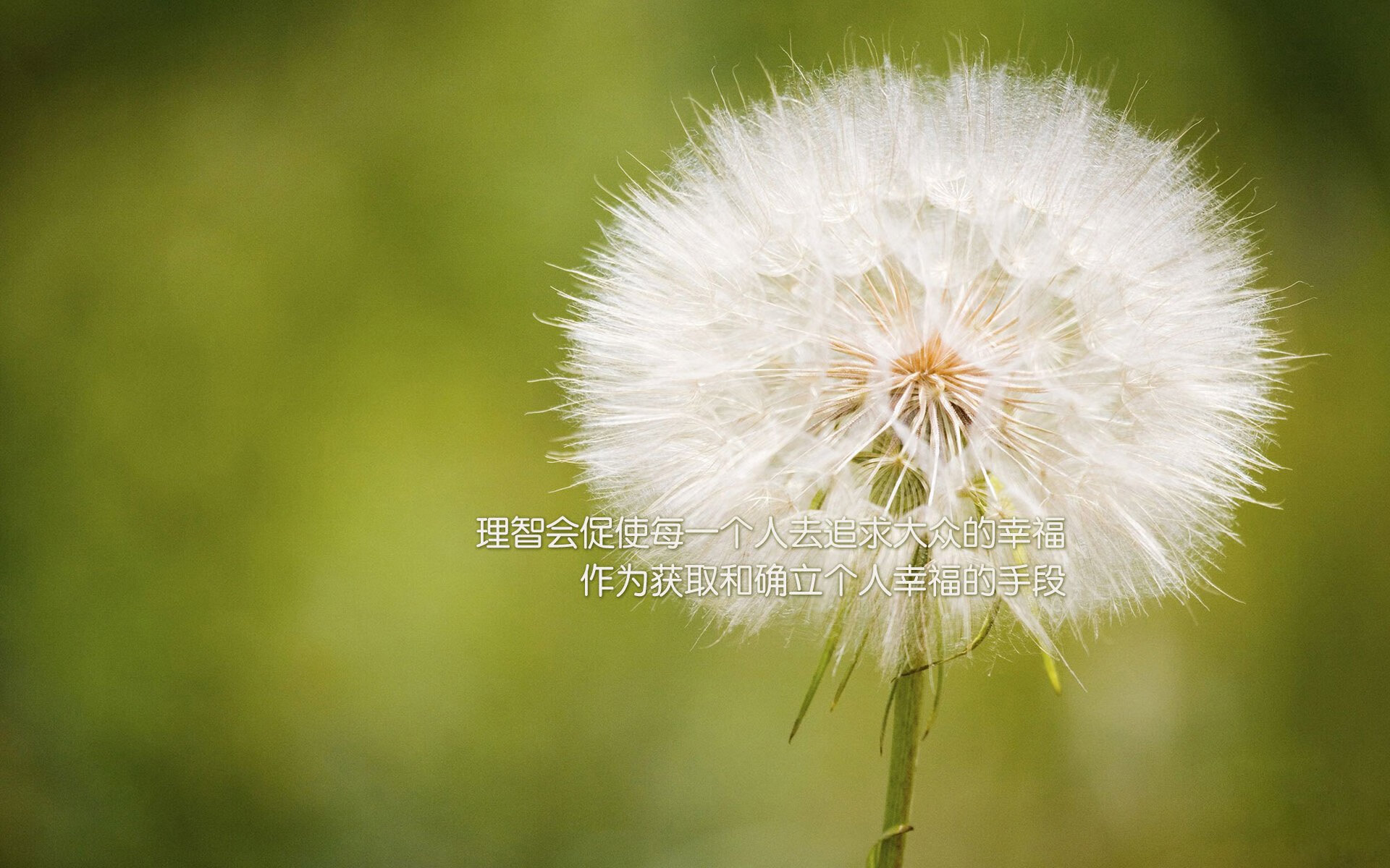 开云体育APP下载-天津泰达客场痛失三分，跌至积分榜下游，天津泰达吧