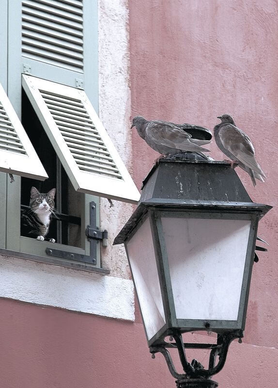 开云kaiyun-女足国家队训练基地全面升，女足 训练