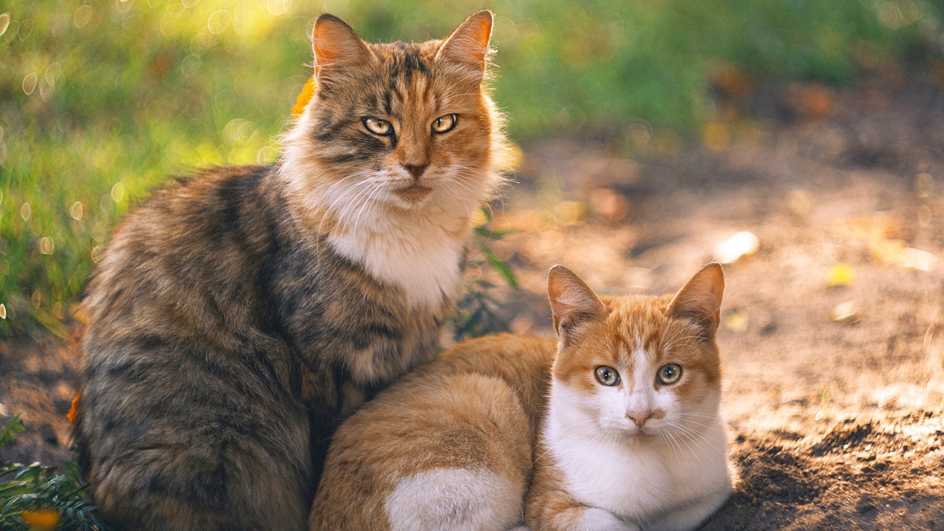 尤文图斯惜败于皇马,无缘晋级半决赛,尤文图斯上半场