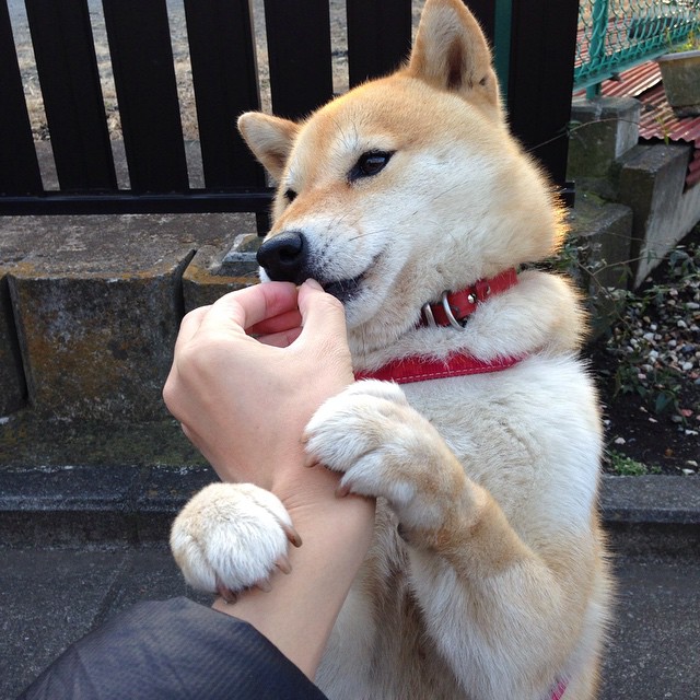 开云入口-格拉纳达豪取四连胜，领跑积分榜，格拉纳达战绩500