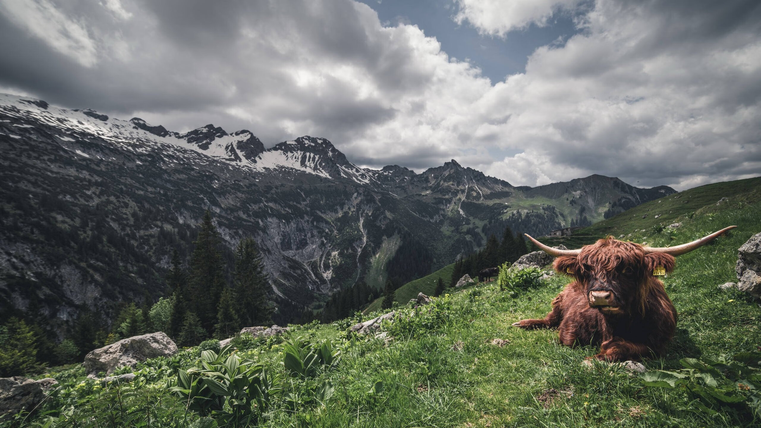 灰熊队新秀球员得分榜上占据一席之地，灰熊队选秀2020