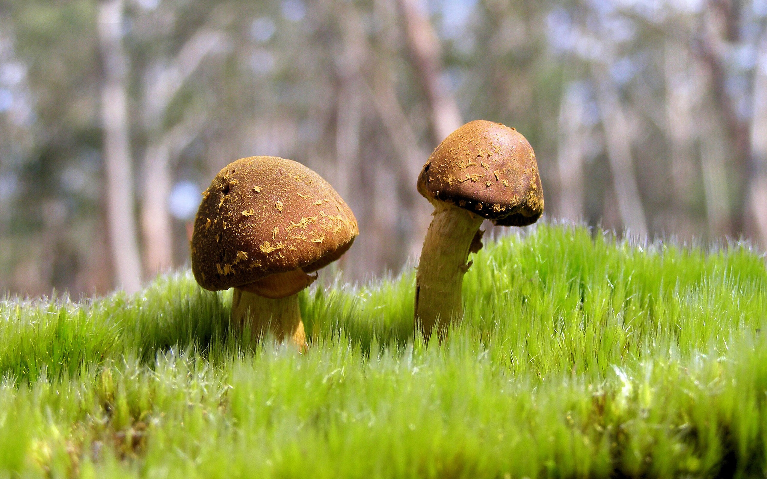 开云体育APP下载-精彩盛宴不容错过：全球热血篮球决赛现场，热血篮球赛海报