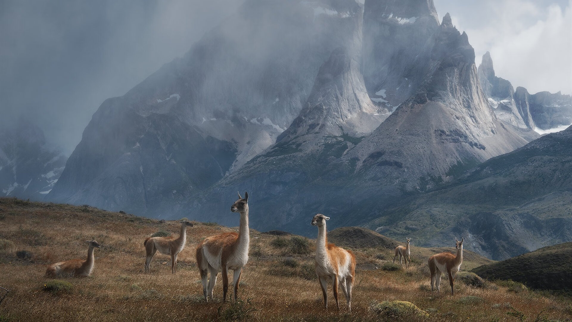 开云·体育官网APP下载-阿森纳在英超中击败曼城，争夺冠军，英超联赛阿森纳