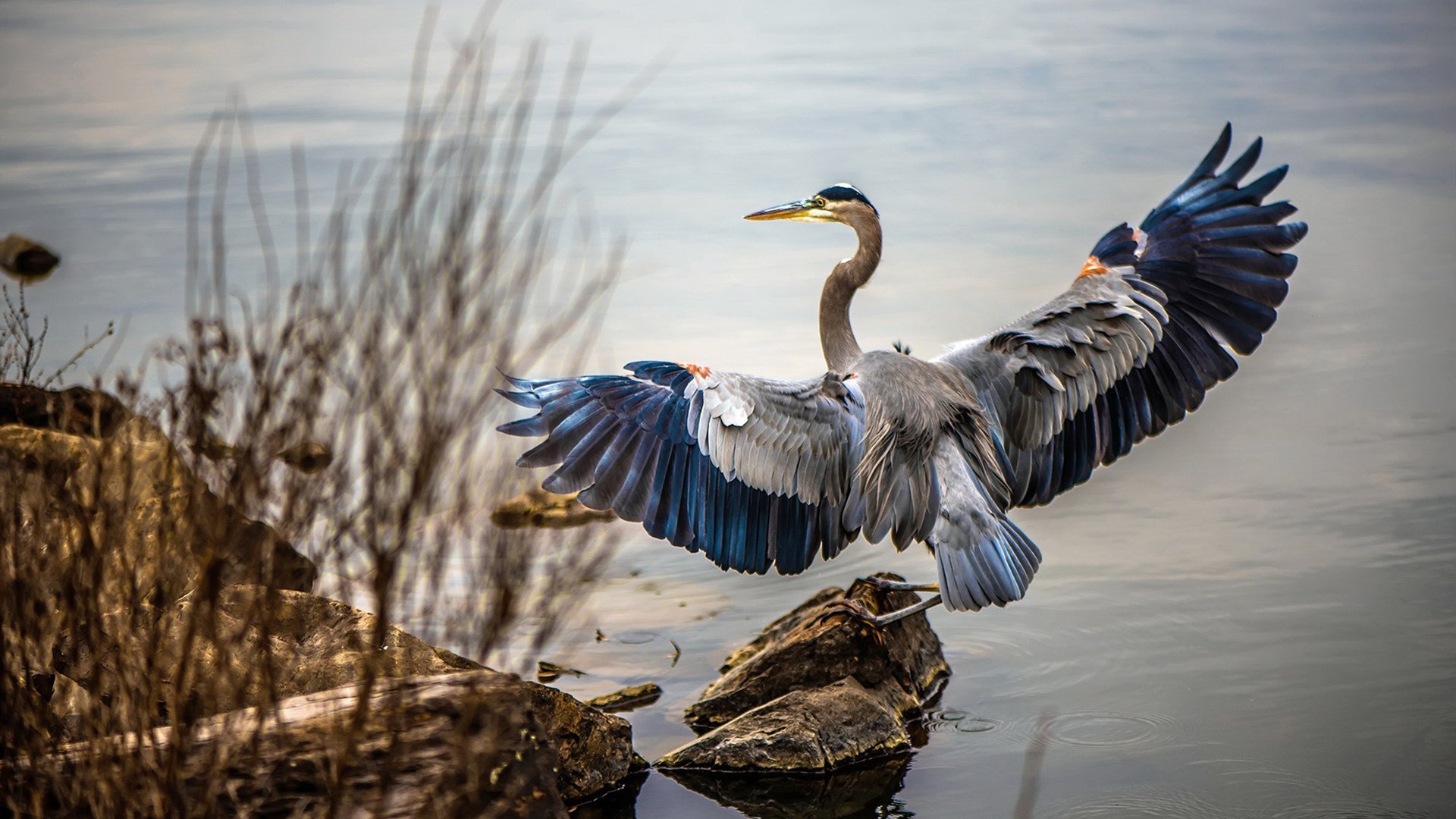 阿森纳在英超中击败曼城，争夺冠军，英超联赛阿森纳