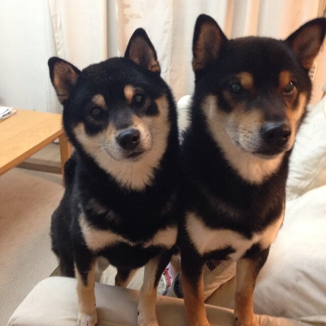 开云体育-中国篮球职业联赛裁判员培训体系建设与优化研究，篮球裁判员培训教程