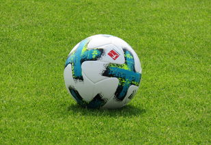 kaiyun官方网站-德甲防守战术转变对定位球防守效果的影响分析，德国足球防守大师