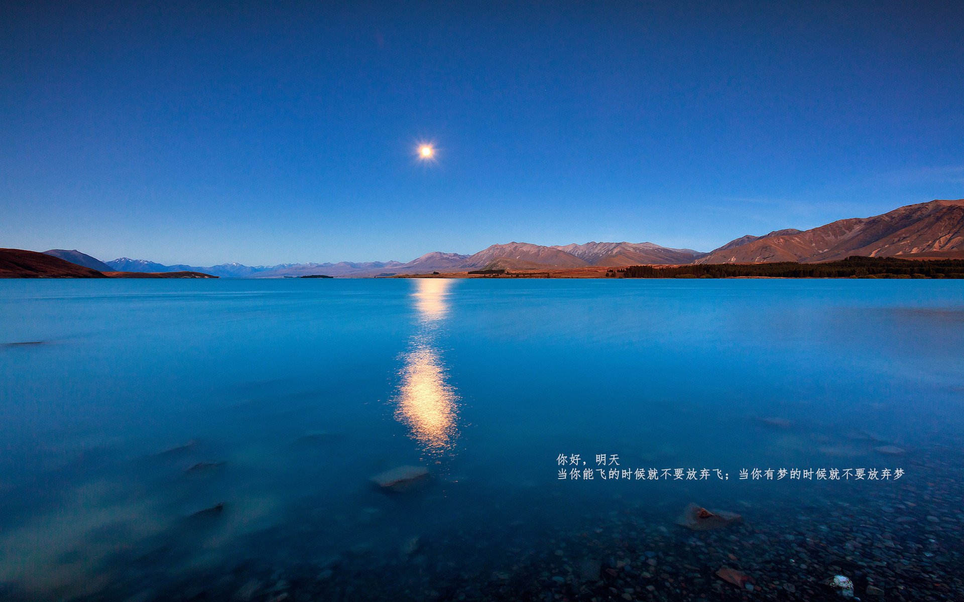 开云·体育官网APP下载-欧冠“十六强”对阵：最强球队赛事直击，谁能突围成功？