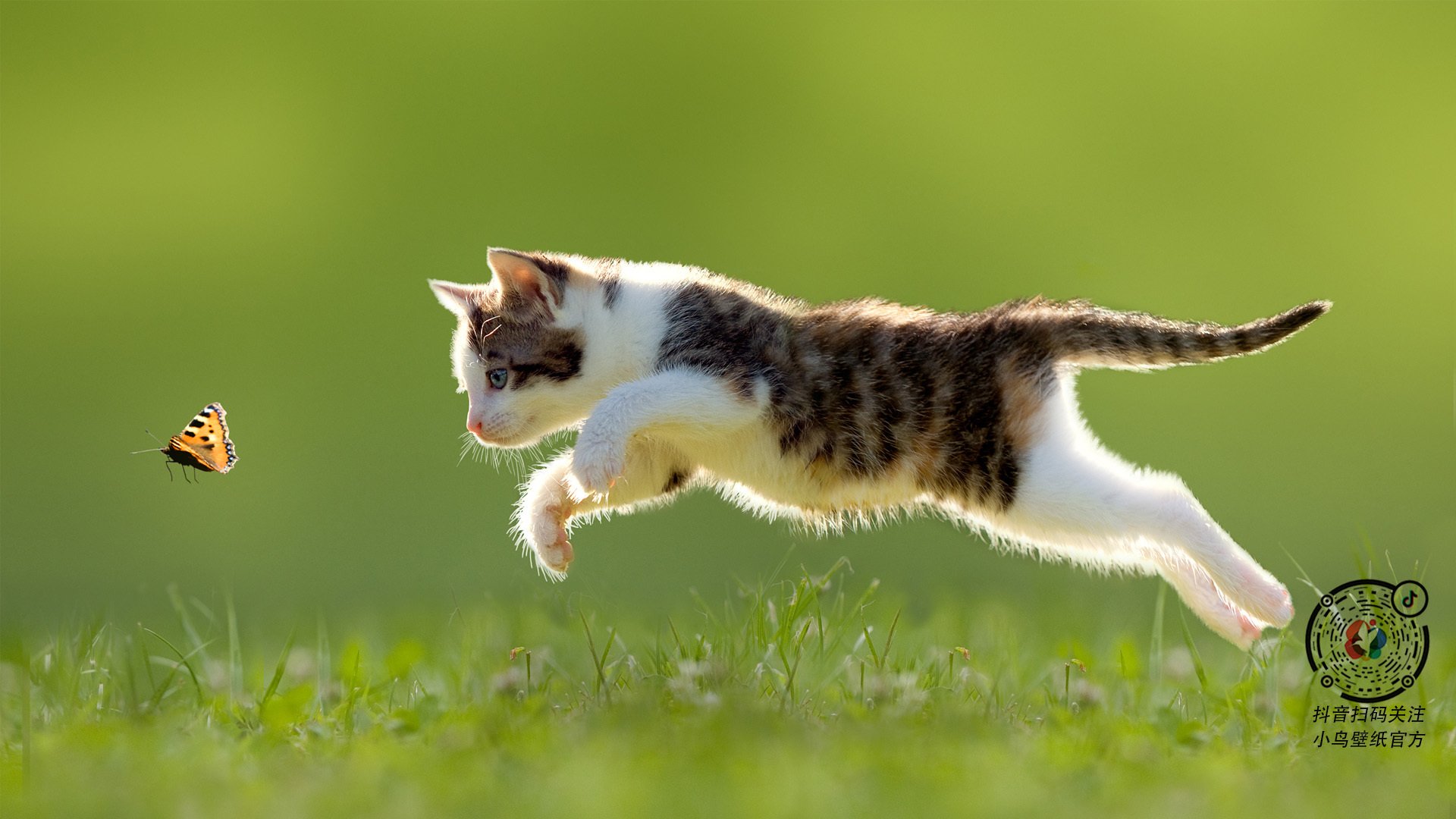 运动康复服务在社区卫生体系中的嵌入路径,运动康复中心的发展战略