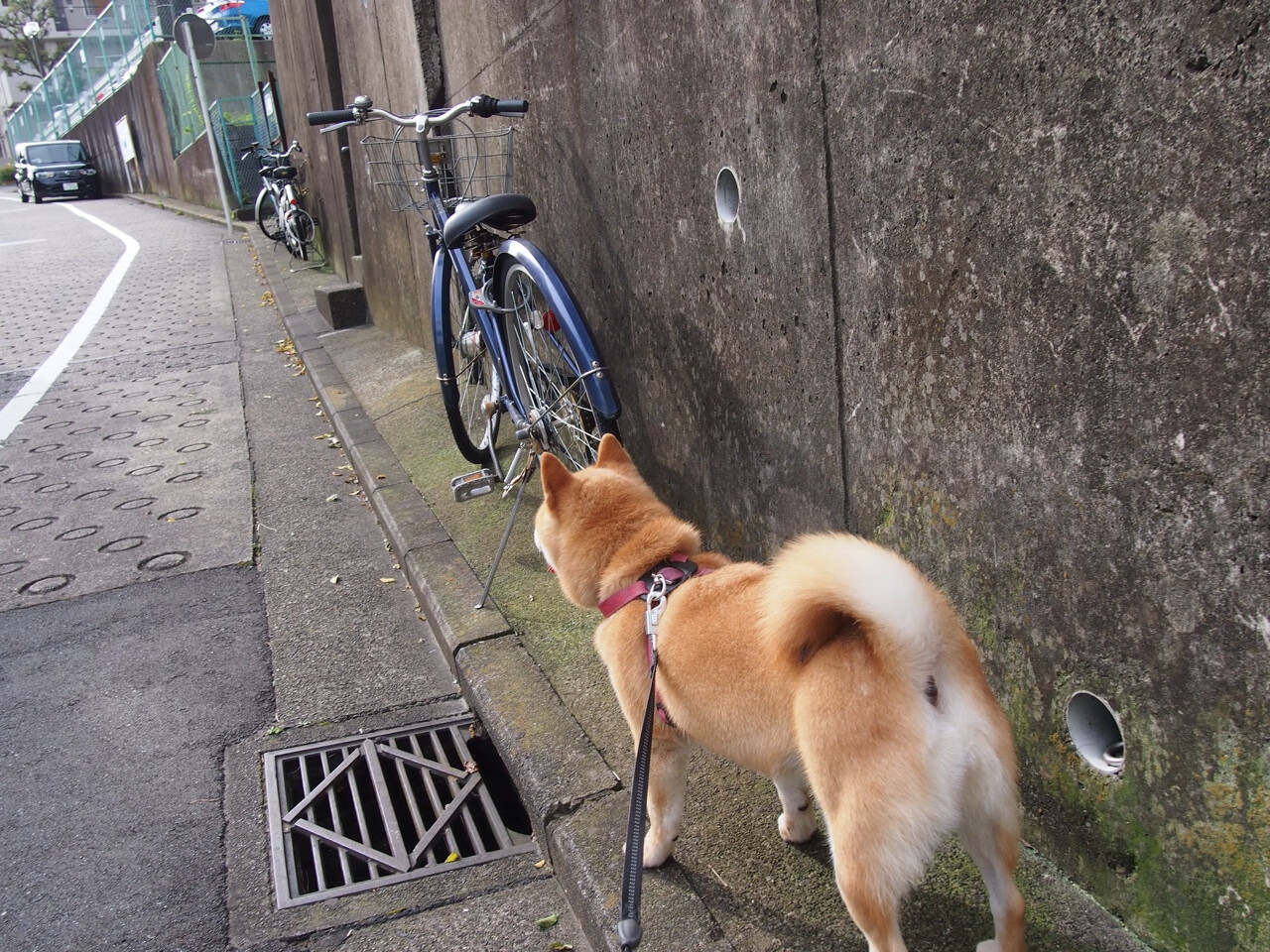 高校运动训练数据采集与分析技术,2021年普通高校运动训练