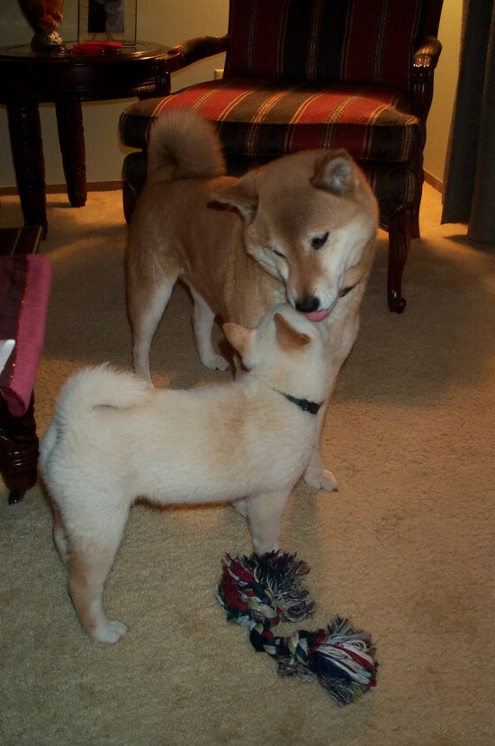 五大联赛中场能否胜过边路冲击效能,五大联赛主场优势