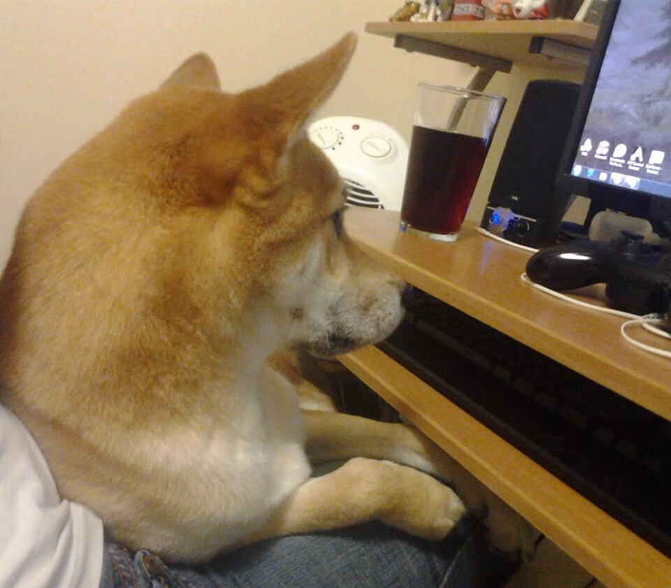 开云官方网页登录-五大联赛变化战术元素如何影响球员数据表现，五大联赛的打法风格