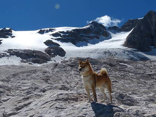 俱乐部战术风格缺乏鲜明识别度，俱乐部型组织