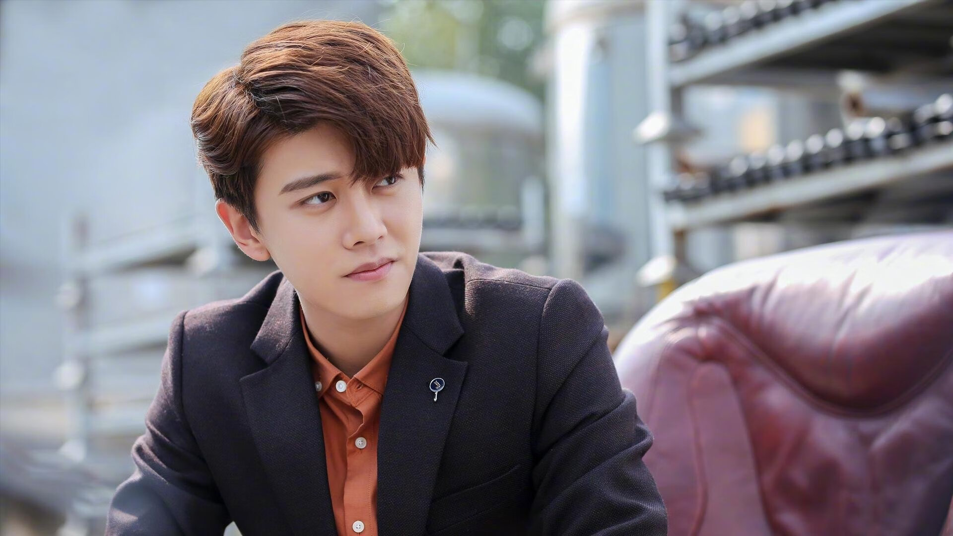 德甲球队的数字化粉丝服务,德甲球迷文化