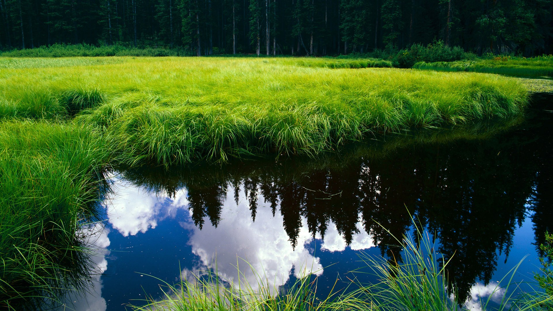 开云体育APP下载-法甲新星崭露头角：未来之星点燃战场！，德甲未来之星