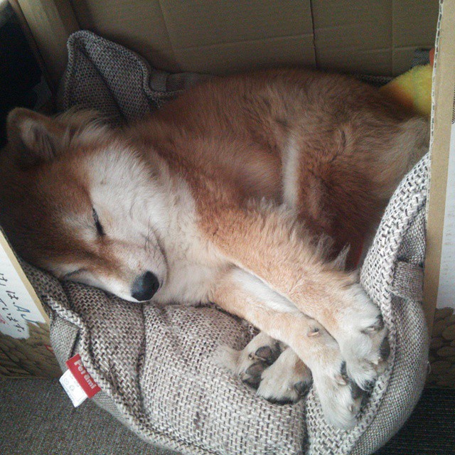 kaiyun登录入口-美洲杯逆境逆袭：梦想之战，永不言弃！，美洲杯回顾