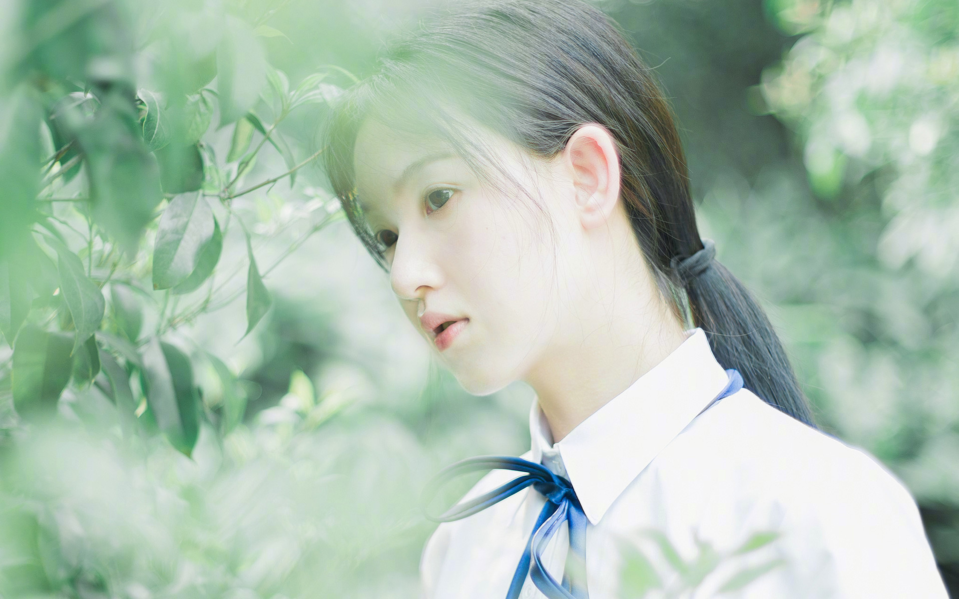 足球俱乐部财务公开制度促进透明化管理,足球俱乐部财政