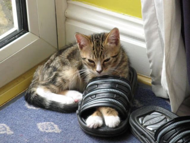 阿根廷老将退役，足坛致敬传奇，阿根廷足球老将